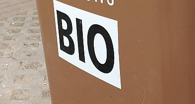 Nowe zasady odbioru bioodpadów w Serocku budzą sprzeciw. Petycje...