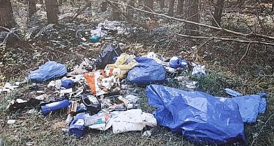Gminy ostrzegały: śmieci znów trafią do lasów. Resort wycofuje się z pomysłu...