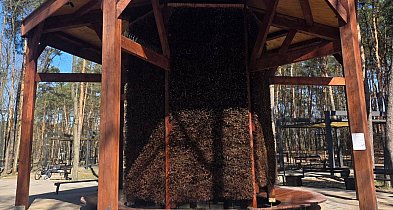 Legionowo: Tężnia w Parku Zdrowia już działa. Remont skończył się wcześniej