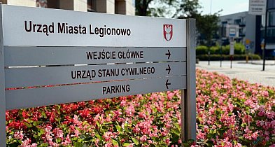 Nowe donice i setki nasadzeń wzdłuż Piłsudskiego. Ratusz szuka wykonawcy