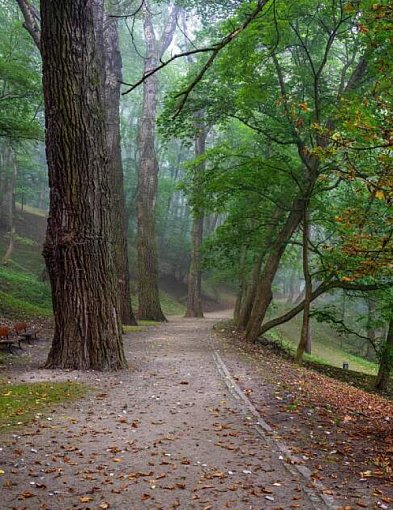 Coraz więcej ludzi boi się... przyrody. Naukowcy alarmują o rosnącej...-143075