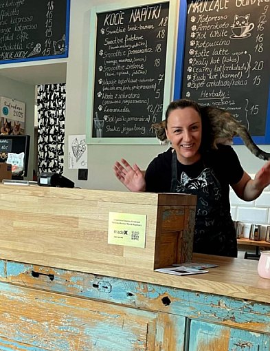 Praca z misją w Legionowie. Kocia Kawiarnia przyciąga młodych, którzy...-143265