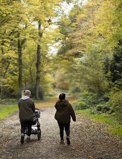 Zdrowie: Jak spowolnić starzenie się mózgu? Oto kluczowe nawyki-143352