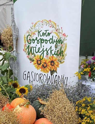 Burza w gminie Serock. W jednej chwili z koła gospodyń wiejskich odeszło 18 pań