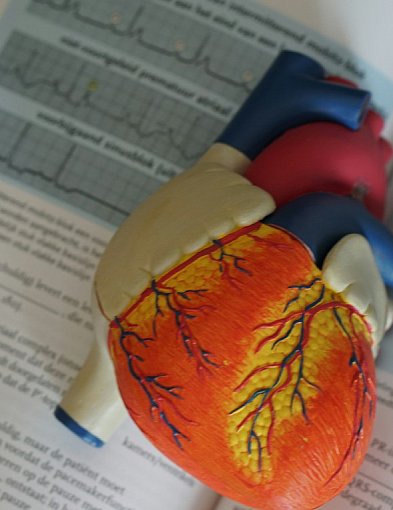 Mikroby jelitowe a choroba wieńcowa. Naukowcy odkryli ważne powiązanie