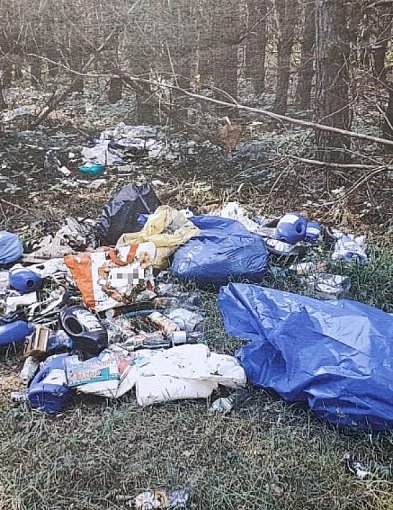 Gminy ostrzegały: śmieci znów trafią do lasów. Resort wycofuje się z pomysłu...