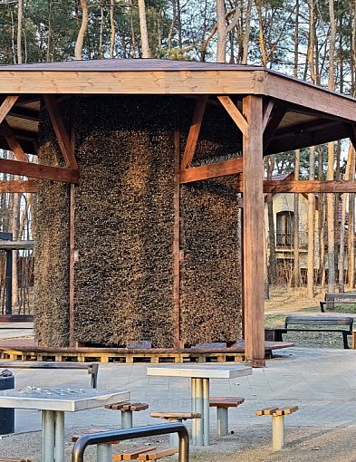 Legionowo: Modernizacja tężni w Parku Zdrowia na finiszu