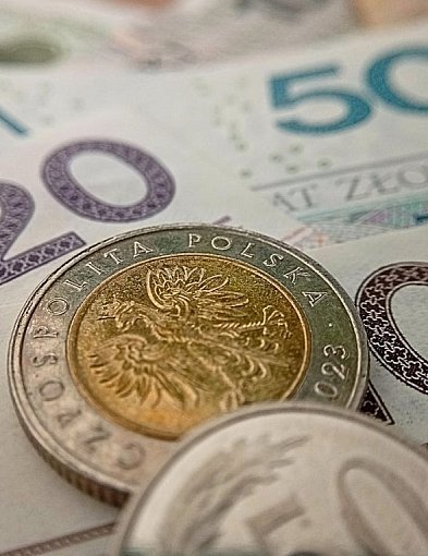 Czy 800 plus powinno wzrosnąć do 1000 zł? Oto wyniki sondażu