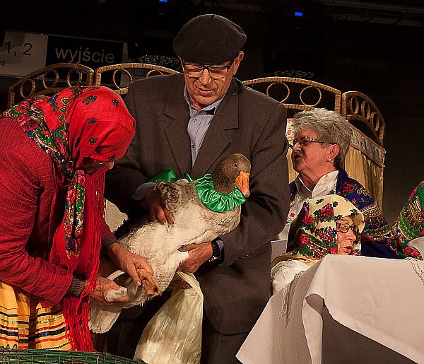 Legionowo: Ratusz zaprasza na XII Festiwal Gęsiny-142259