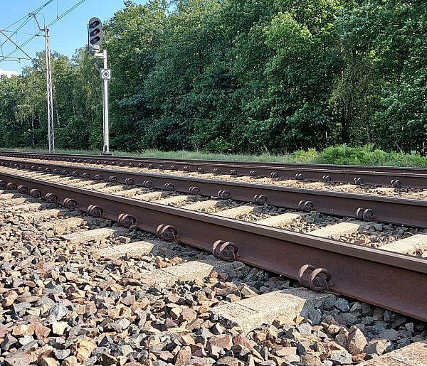 Pociąg potrącił łosia. Zwierzę nie przeżyło-142328