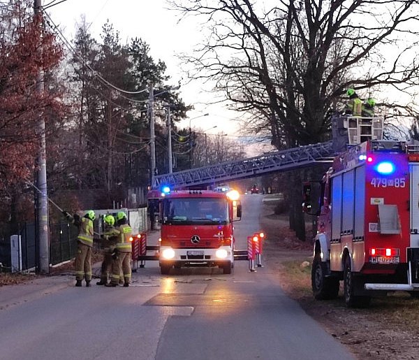 Michałów-Grabina: Uszkodzone drzewo zagrażało linii energetycznej-142625