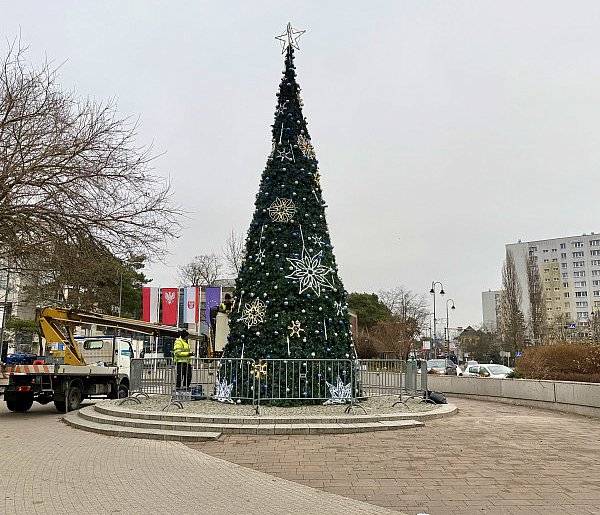 Świąteczne ozdoby w Legionowie. Ubierają miejską choinkę-142983