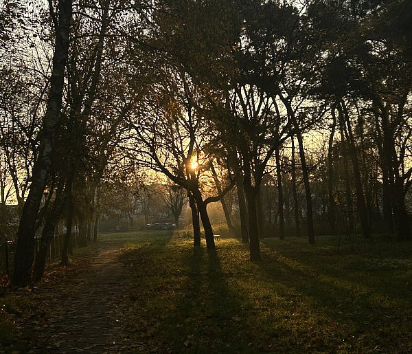 Nadchodzi najkrótszy dzień w 2025 roku. Sprawdź, kiedy przypadnie-143394