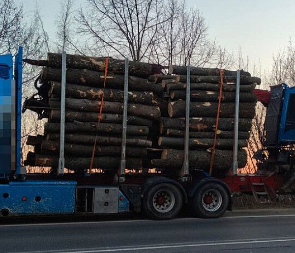 32-latek zatrzymany w Nieporęcie. Ciężarówka była przeładowana, a kierowca...