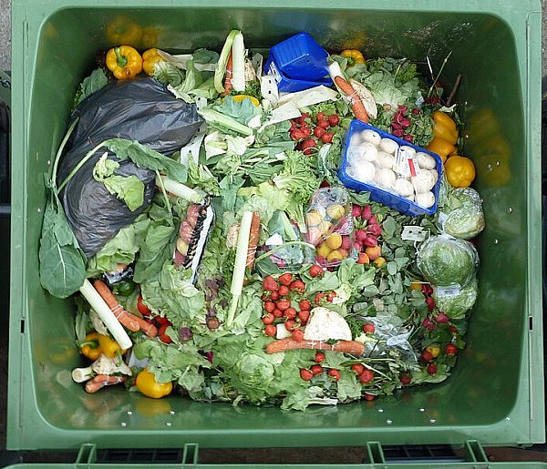 Nawet 3 tys. zł rocznie trafia do kosza. Tyle kosztuje marnowanie żywności