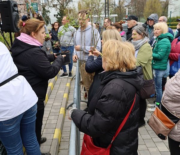 Legionowo: Eko Piknik już w sobotę. Sadzonki roślin za elektrośmieci