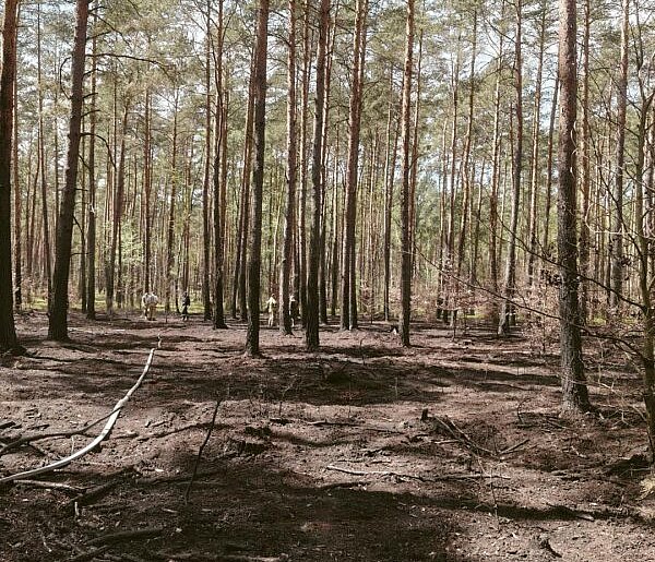 Kąty Węgierskie: Dogaszali ściółkę leśną. Kontynuacja pożaru z soboty