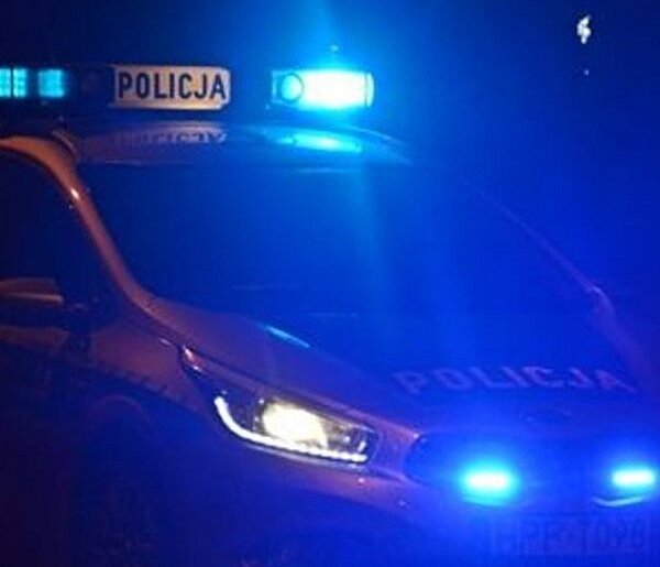 Zegrze Południowe: Kolizja na Warszawskiej. Toyota wpadła do rowu