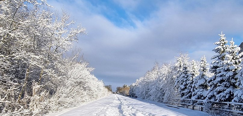 Legionowski: W weekend opady śniegu i marznącego deszczu