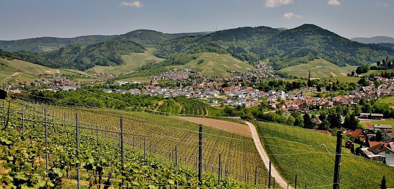 Napa Valley w Kaliforni - road trip i nie tylko