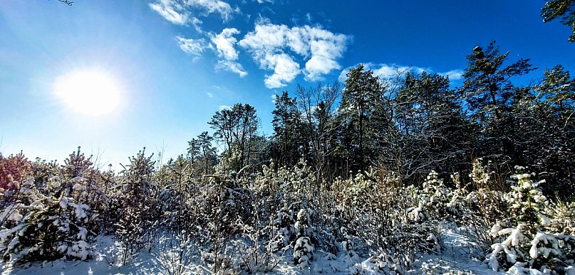 Najzimniejszy weekend tej zimy? IMGW prognozuje spadek temperatury do -18°C