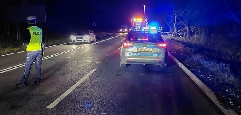 Nieporęt: Kia wypadła z drogi i uderzyła w drzewo. Wszystko przez sarnę