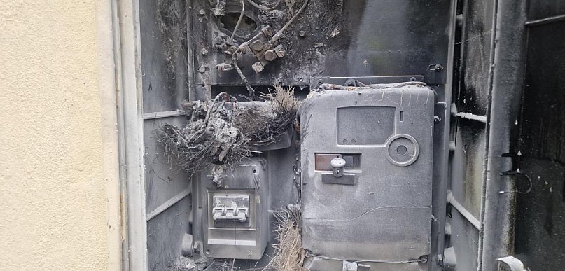 Stasi Las: Pożar skrzynki elektrycznej przy Długiej