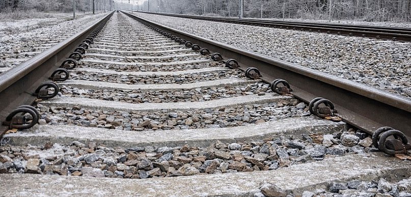 Olszewnica Stara: Łoś potrącony przez pociąg. Zwierzę nie przeżyło