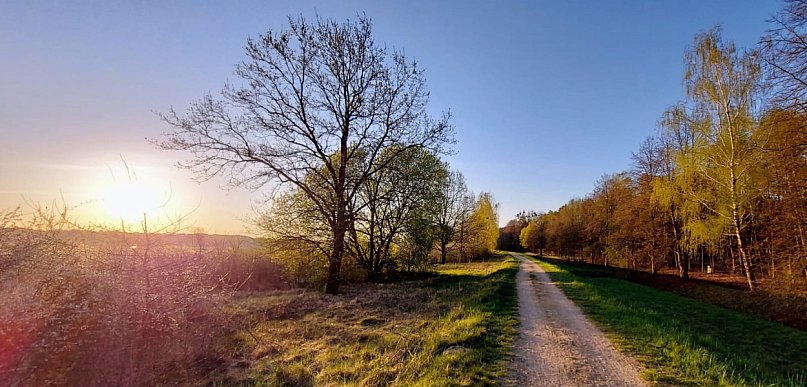 Legionowski: W weekend pogoda miło zaskoczy. To już wiosna?