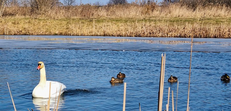 Legionowski: Pogoda w weekend zachwyci. Będzie słonecznie i ciepło