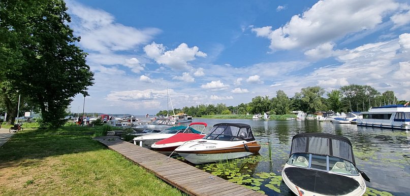 Kampery, namioty i kino plenerowe. Nowa inwestycja turystyczna w Nieporęcie