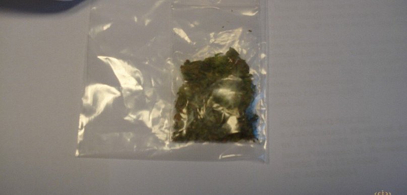 Skubianka: 28-latek zatrzymany przez policję. Miał przy sobie marihuanę