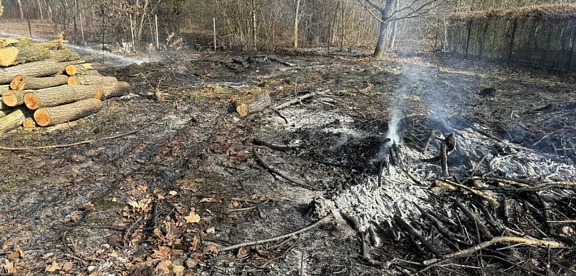 Pożar trawy w Jadwisinie. Ogień zagrażał pobliskim budynkom