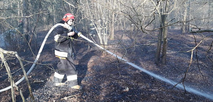 Stanisławów Pierwszy: Płonęły śmieci, zajęła się ściółka leśna