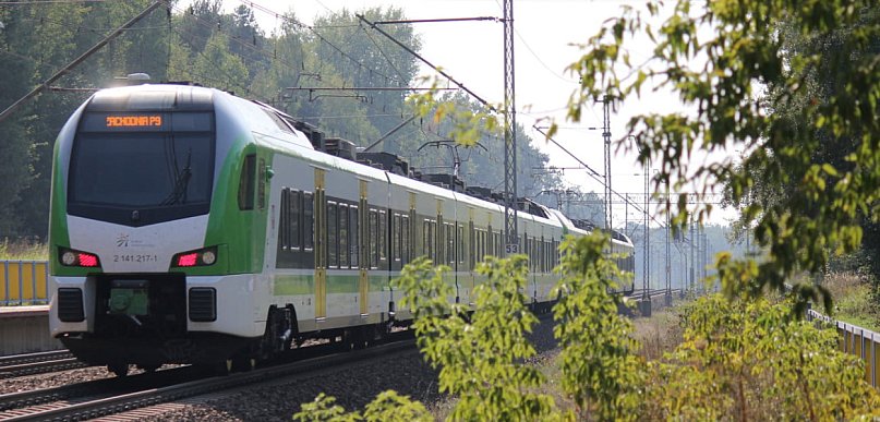 Wraca akcja „Koleją do Natury”. Mazowsze znów zachęca do wycieczek