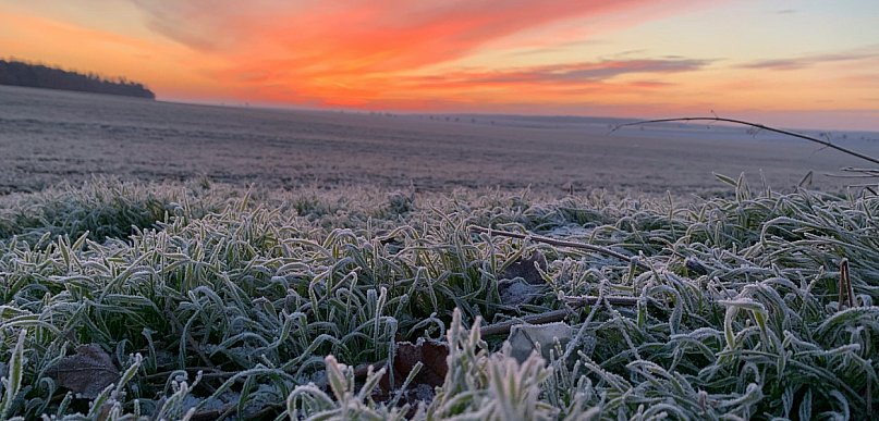 Ostrzeżenie IMGW dla powiatu legionowskiego. W nocy nawet -6°C przy gruncie
