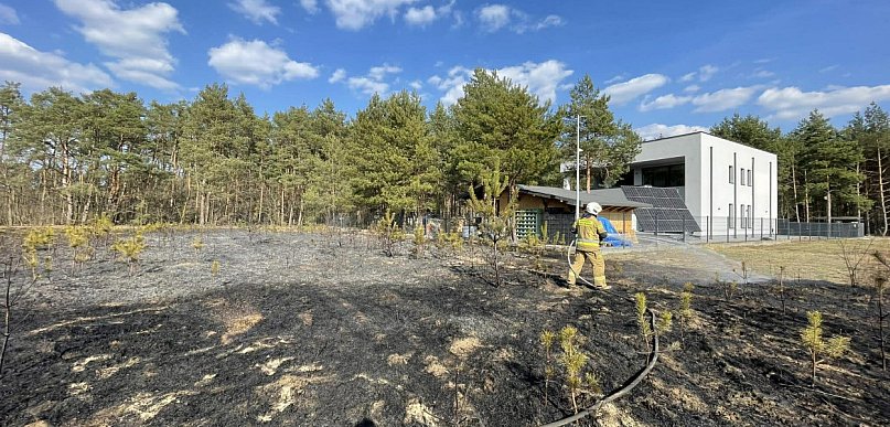Groźny pożar w Trzcianach. Blisko hektar traw w ogniu, płonął także las