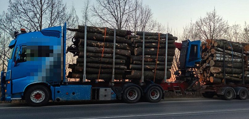 32-latek zatrzymany w Nieporęcie. Ciężarówka była przeładowana, a kierowca...