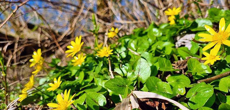 Legionowski: Jaka pogoda w weekend? Sprawdź prognozę