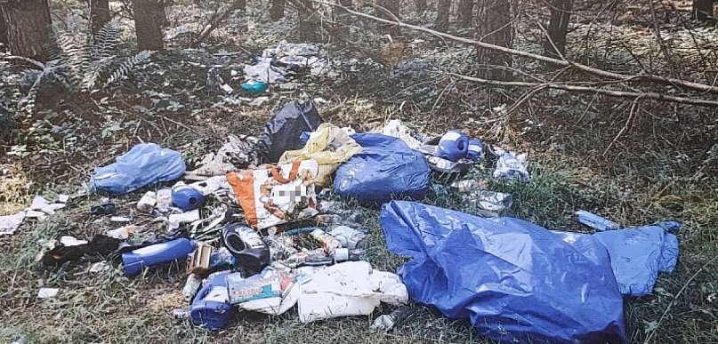 Gminy ostrzegały: śmieci znów trafią do lasów. Resort wycofuje się z pomysłu...