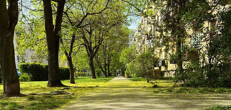 Legionowski: Jaka pogoda w święta? W niedzielę będzie prawie 20 stopni