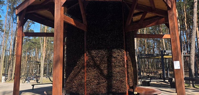 Legionowo: Tężnia w Parku Zdrowia już działa. Remont skończył się wcześniej