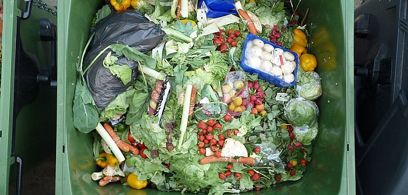 Nawet 3 tys. zł rocznie trafia do kosza. Tyle kosztuje marnowanie żywności