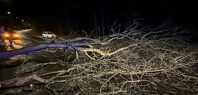 Legionowski: Powalone i uszkodzone drzewa. Pogoda niemiło zaskoczyła