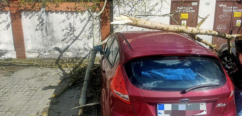 Silny wiatr w powiecie legionowskim. Ponad 50 interwencji straży pożarnej