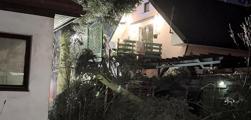 Legionowski: Połamane i uszkodzone drzewa. Ponad 30 interwencji strażaków