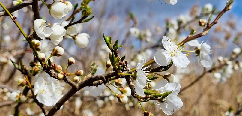 Chłodny weekend w powiecie legionowskim. Będzie deszcz i maksymalnie 12°C