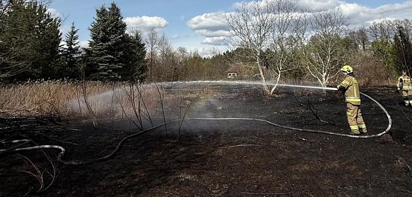 Pożar trawy w Józefowie. Ogień zagrażał zabudowaniom i lasowi