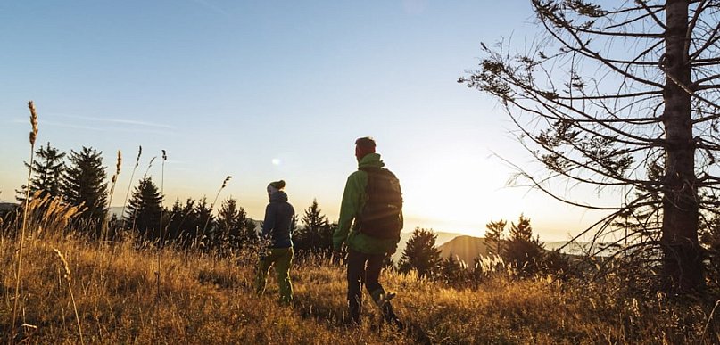 Precyzyjna identyfikacja i bezpieczeństwo: Rola termowizji w nowoczesnej gos...