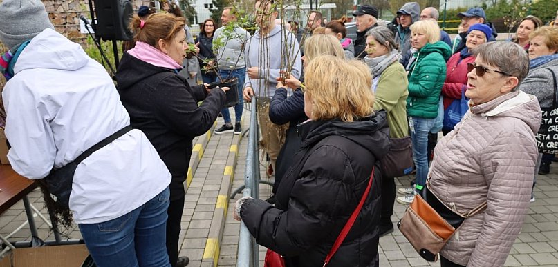 Legionowo: Eko Piknik już w sobotę. Sadzonki roślin za elektrośmieci